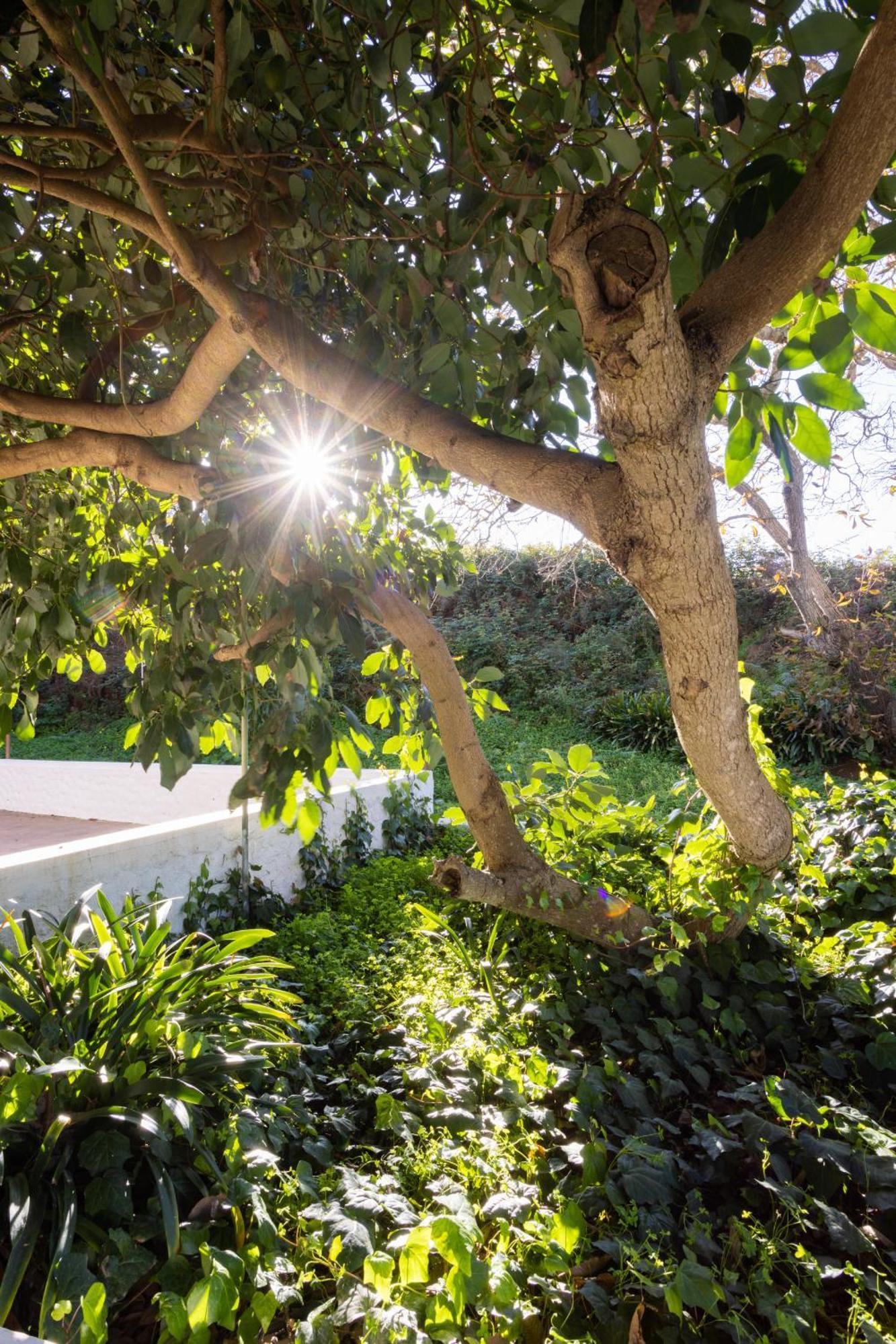 Lightbooking Casa De Campo Ortigal Tenerife La Esperanza  Luaran gambar